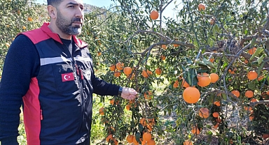 Don afetinin hasar tespiti devam ediyor