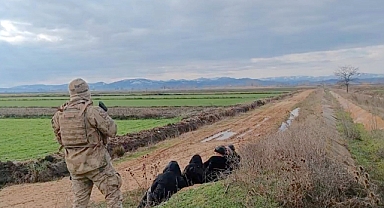Sınırda kaçak operasyonu