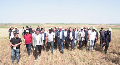 Kuru alanda tahıl üretiminde büyük zarar var