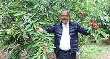 'Don kirazı, kiraz ihracatı vurdu'