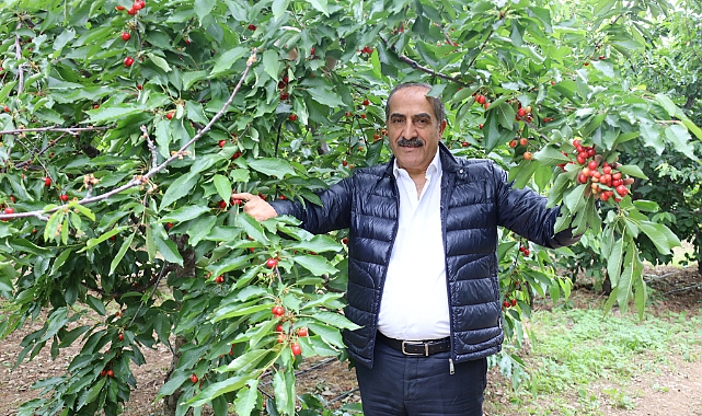 'Don kirazı, kiraz ihracatı vurdu'