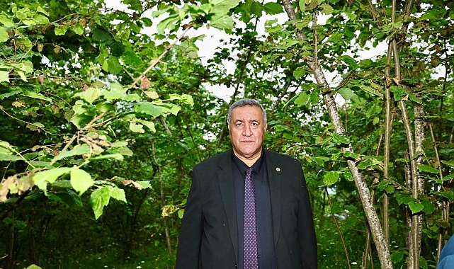 Gürer: “Zirai don zararları acil karşılanmalıdır”