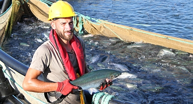 Türk somonunda hedef ihracat 1 milyar doları aşmak