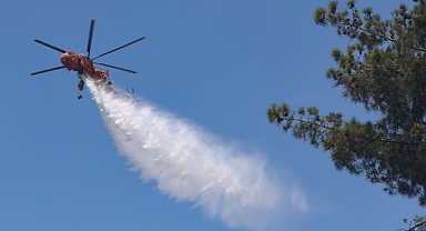 Üç ayda 240 orman yangını çıktı