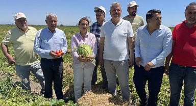 Ürünler tarlada çürüyor