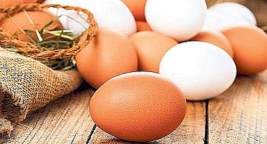 Altı ayda yumurta üretimi azaldı, et üretimi arttı