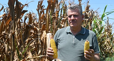 Ayhan Barut’tan mısır fiyatı çağrısı