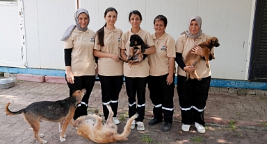 Barınak melekleri görev başında