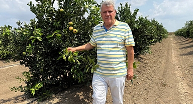 'Çiftçileri sıcak darbesi'