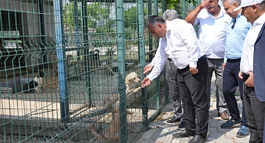 Geçer, Hayvan Barınağı’nda incelemelerde bulundu 