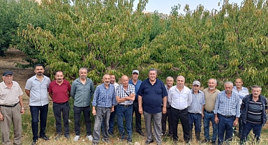 Gürer: Kiraz yok, su yok, destek yok: Üretici isyanda