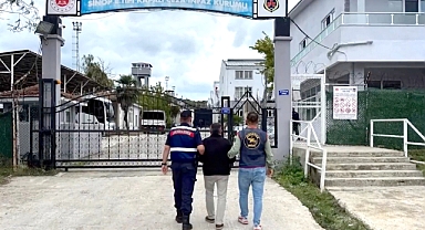 FETÖ'ye yönelik operasyonlar: 91 gözaltı