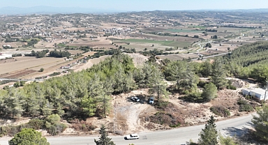 Sokak hayvanları için dev adım