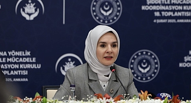 ”Türkiye’de Kadına Yönelik Şiddet Araştırması