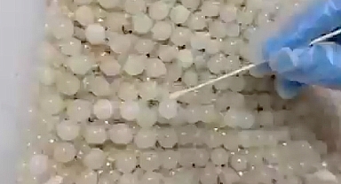 Uyuşturucuyu gelinliğe işlemişler