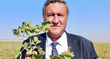 Tarımda üretim düşüyor, dışa bağımlılık artıyor