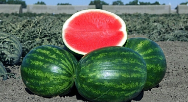 Tarımsal üretim maliyetlerindeki artış sürüyor