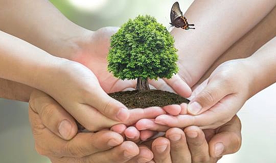 2024'deki çevre harcamaları 441 milyar lira