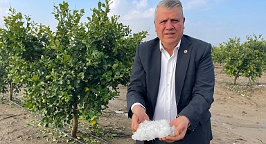 Adanalı üreticileri dolu vurdu