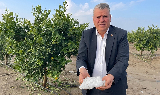 Adanalı üreticileri dolu vurdu