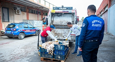 Depoda yüzlerce ölü tavuk ele geçirildi