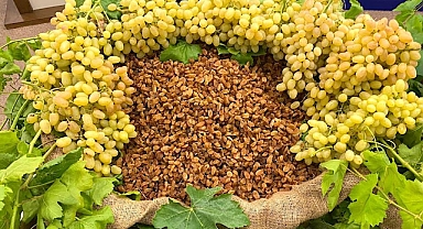 Dünya kuru üzüm ihracatının yüzde 30’u Türkiye'den