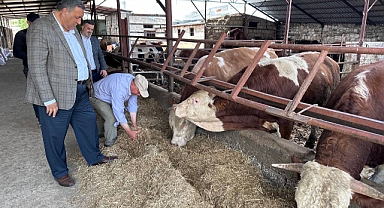 Gürer: Asgari ücret cebe girmeden et fiyatı arttı