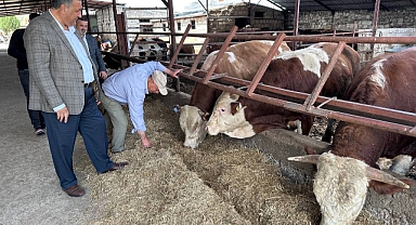 Gürer: Sütün kaymağını üreten de tüketen de yiyemiyor