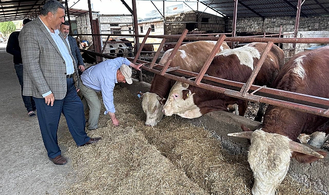 Gürer: Sütün kaymağını üreten de tüketen de yiyemiyor