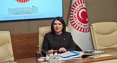 Karamık: Dilekçe başvuruları dijitalleşmeyle arttı