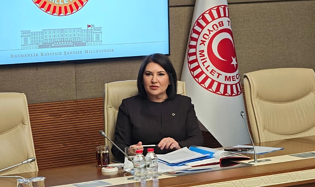 Karamık: Dilekçe başvuruları dijitalleşmeyle arttı