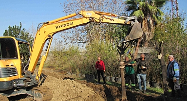 Kavşak düzenlemelerinde ağaçlar kesilmiyor
