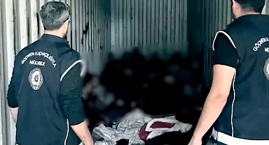 Limanda bekletilen konteynerden 44 kaçak göçmen çıktı