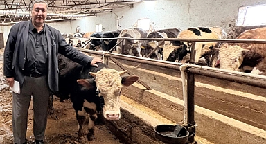 Gürer: Şap hastalığı hayvancılığı vuruyor!