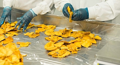 Adana'daki KOBİ’lere 250 bin TL geri ödemesiz destek