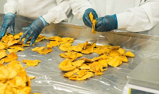 Adana'daki KOBİ’lere 250 bin TL geri ödemesiz destek