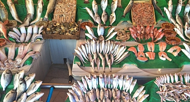 Balık ihracatı 2026 yılına rekorla başladı