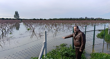 Çukurova tarımı aşırı yağışların baskısı altında