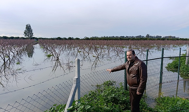 Çukurova tarımı aşırı yağışların baskısı altında