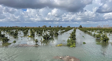 Ekili ve dikili tarım alanları 'ihmal' altında