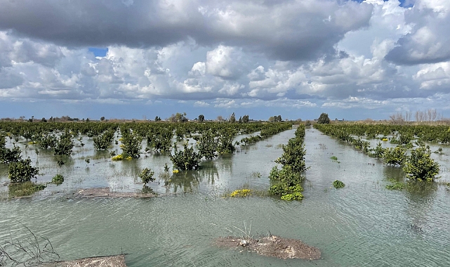 Ekili ve dikili tarım alanları 'ihmal' altında
