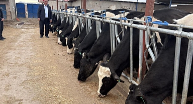 Gürer: 2025 yılında 739 bin baş hayvan ithal edildi