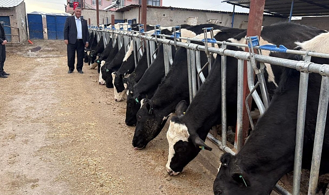Gürer: 2025 yılında 739 bin baş hayvan ithal edildi