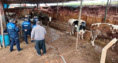 Hayvancılık yapıları kaldırılıyor