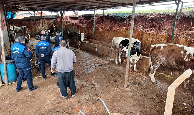 Hayvancılık yapıları kaldırılıyor