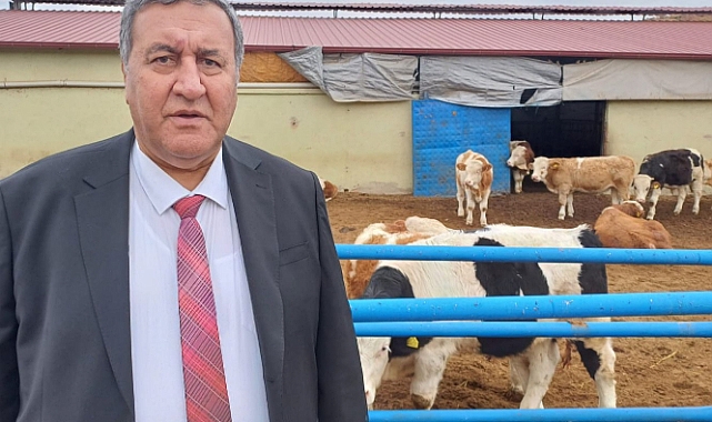 Gürer: “Bombalar et, süt ve gıdayı da vuruyor”
