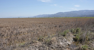 Şubat ayındaki yağışlar toprağın yüzünü güldürdü