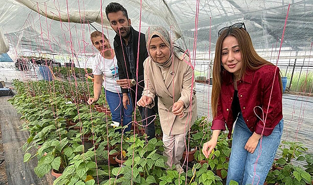 Ç.Ü'de sera çiftçi günü