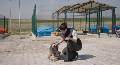Ceyhan'da patili dostlara doğal yaşam alanı
