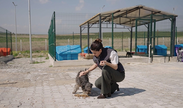 Ceyhan'da patili dostlara doğal yaşam alanı